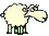 sheepish